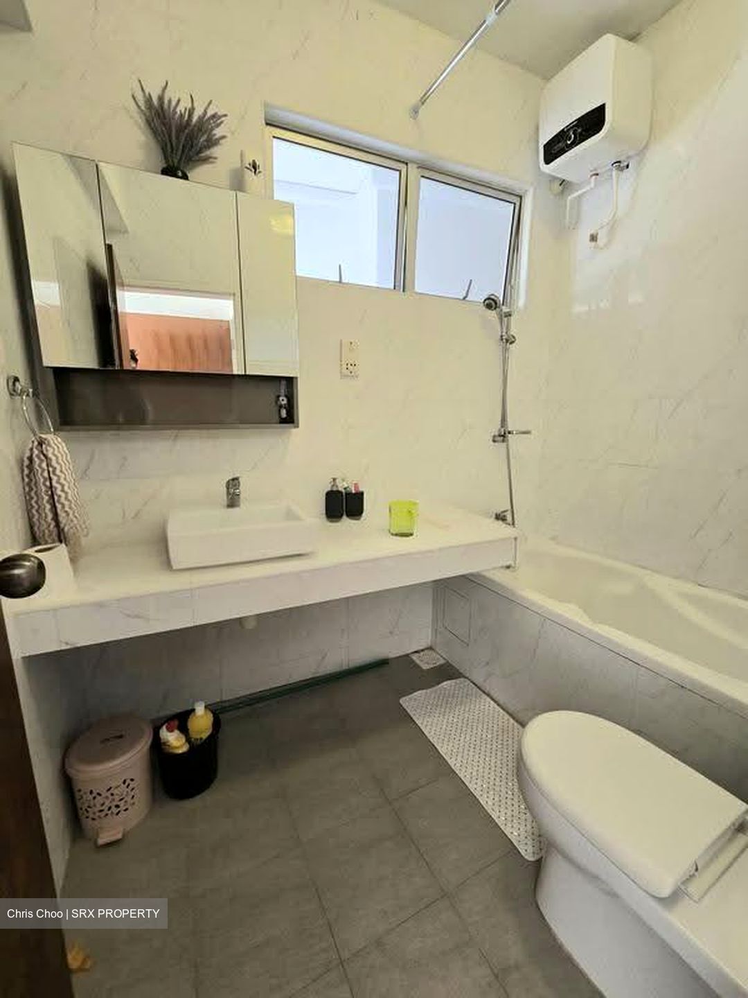 Clementi Park (D21), Condominium #617120541